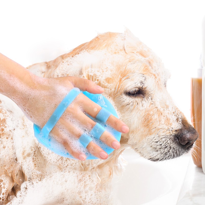 Pet Bath Brush Manufacturer - Soft Silicone Grooming Brush