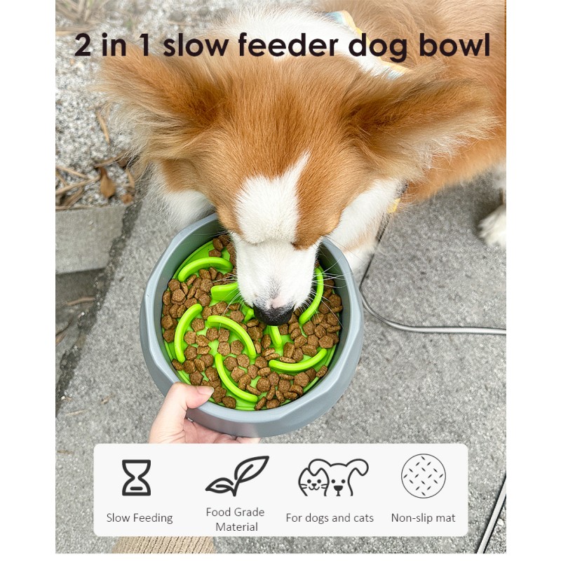 Pet Feed Bowl Manufacturer - Elevated Slow Feeder Ceramic Bowl