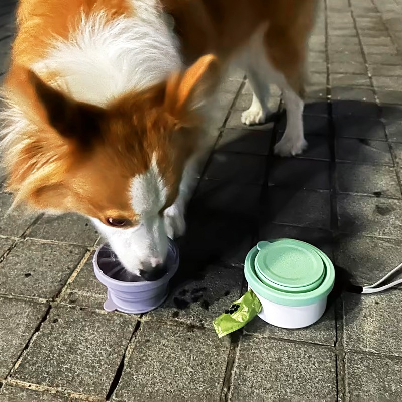 3 in 1 Pet Water Bottle Manufacturer - Poop Bag Dispenser Feeder