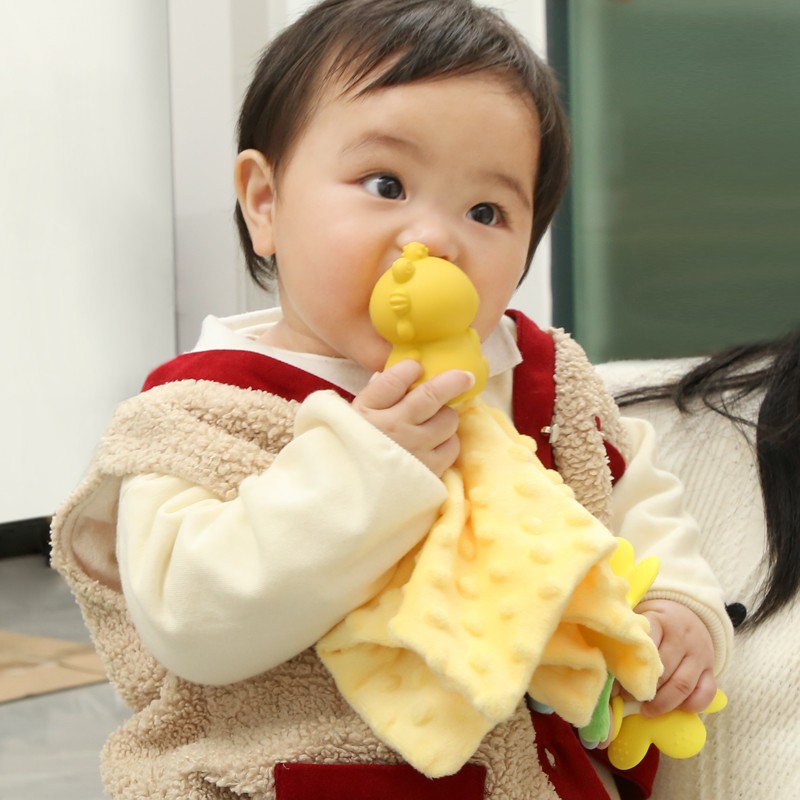 Baby Blanket Manufacturer - Soft Organic Cotton Silicone Teether