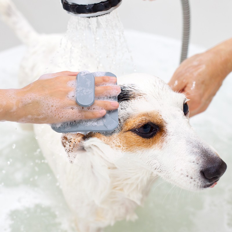 Pet Massage Brush Manufacturer - Soft Silicone Shampoo Dispenser