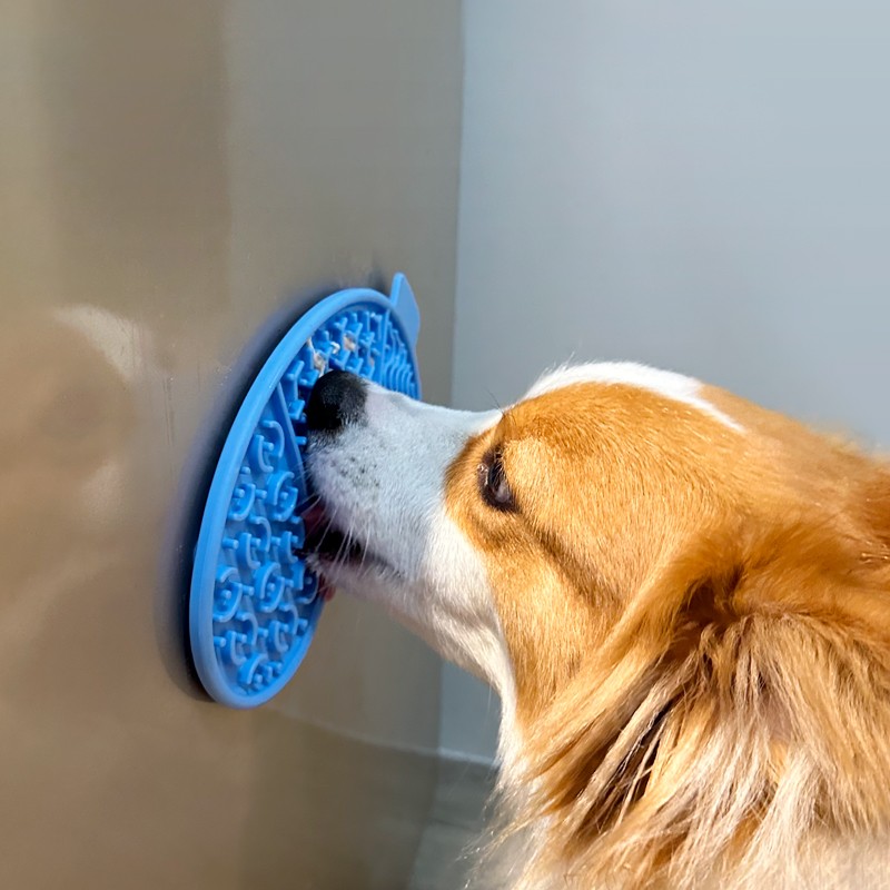 Pet Lick Mat Manufacturer - Custom Slow Feeder Dog Bowl