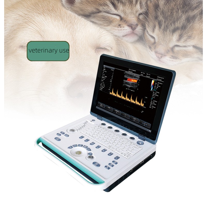 Animal Ultrasound Scanner Manufacturer - Handheld Pregnancy Detector