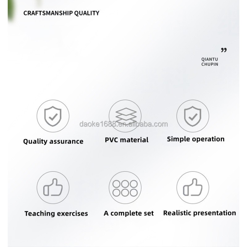 Infant CPR Manikin Manufacturer - Heimlich Anti-Choking Practice