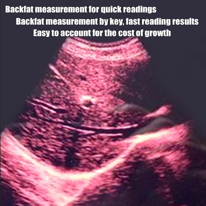 Veterinary Ultrasound Manufacturer - Handheld Color Doppler Machine