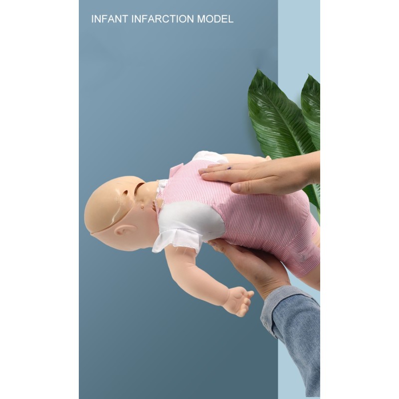 Infant CPR Manikin Manufacturer - Heimlich Anti-Choking Practice