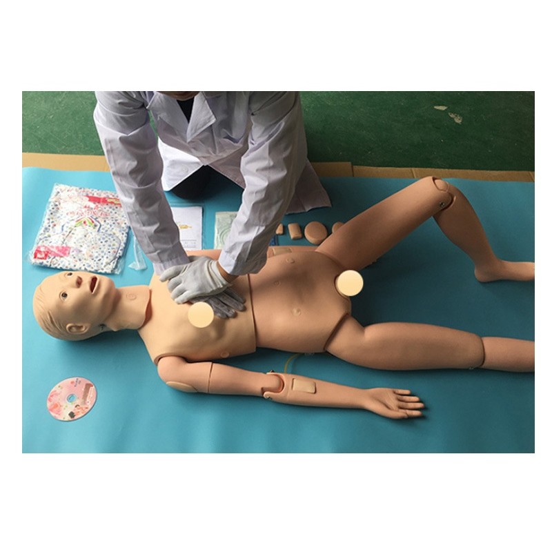 CPR Training Manikin Manufacturer - Cardiopulmonary Resuscitation Model