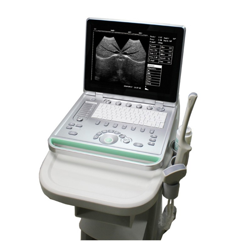 Portable Ultrasound Manufacturer - Veterinary Cat Dog Machine