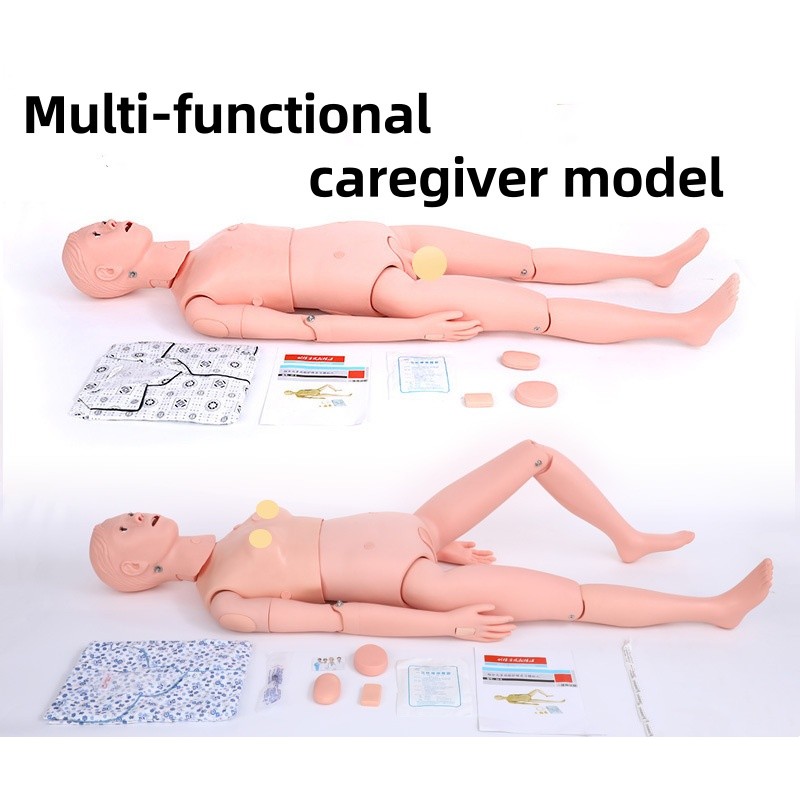 CPR Training Manikin Manufacturer - Cardiopulmonary Resuscitation Model