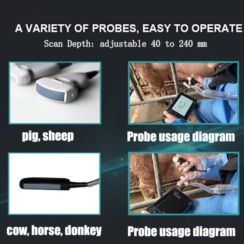 Veterinary Ultrasound Manufacturer - Mechanical Sector Pregnancy Probe