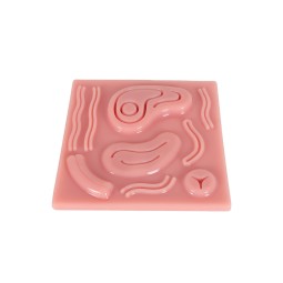 Laparoscopic Training Manikin Manufacturer - Suture Knot Tying Practice