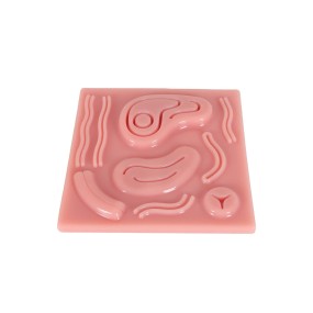 Laparoscopic Training Manikin Manufacturer - Suture Knot Tying Practice