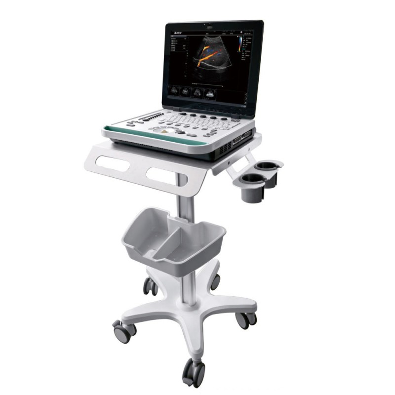 Animal Ultrasound Scanner Manufacturer - Handheld Pregnancy Detector