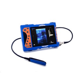 Veterinary B-Ultrasound Manufacturer - Animal Pregnancy Detector