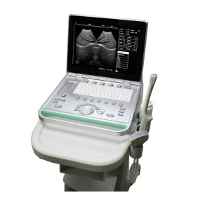 Animal Ultrasound Scanner Manufacturer - Handheld Pregnancy Detector