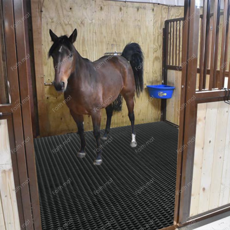 Horse Stall Mat Manufacturer - EVA Foam Non-Slip Washable