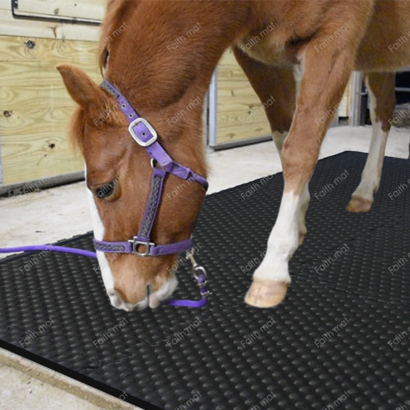 Horse Stall Mat Manufacturer - EVA Foam Rubber Mats