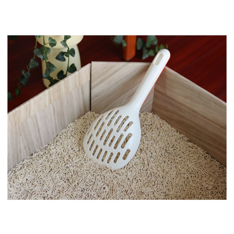 Cat Litter Box Manufacturer - Sustainable Paperboard DIY