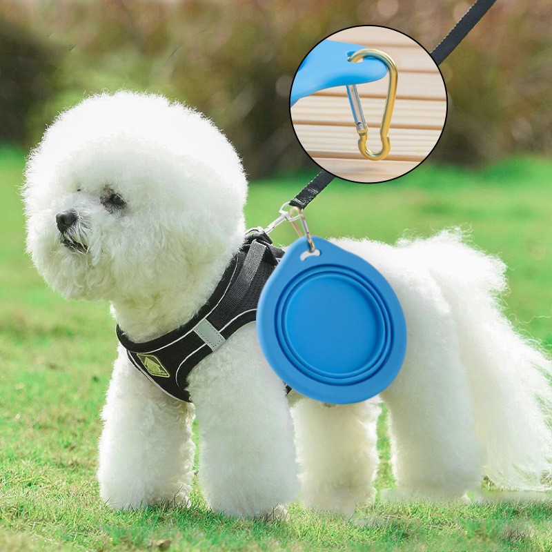 Dog Bowl Manufacturer - Custom Portable Silicone
