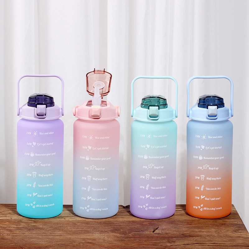 Soap Holder Manufacturer - Cartoon Cactus Shape