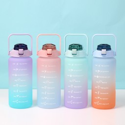 Soap Holder Manufacturer - Cartoon Cactus Shape