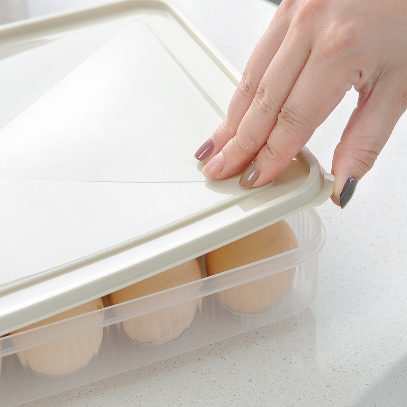 Egg Storage Container Manufacturer - 24 Grid