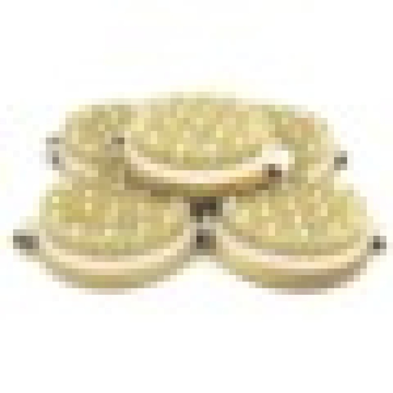 Foot Brush Manufacturer - Natural Bristle