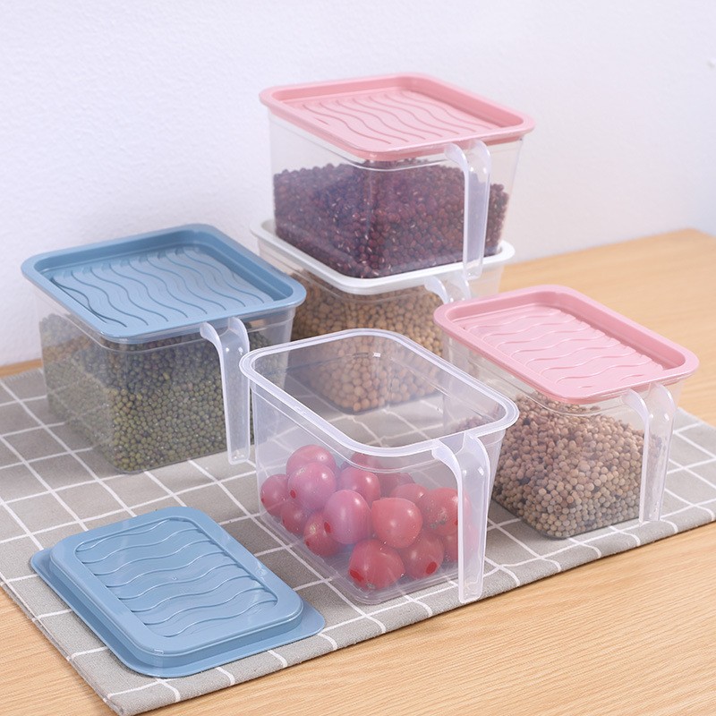 Egg Storage Container Manufacturer - New 24