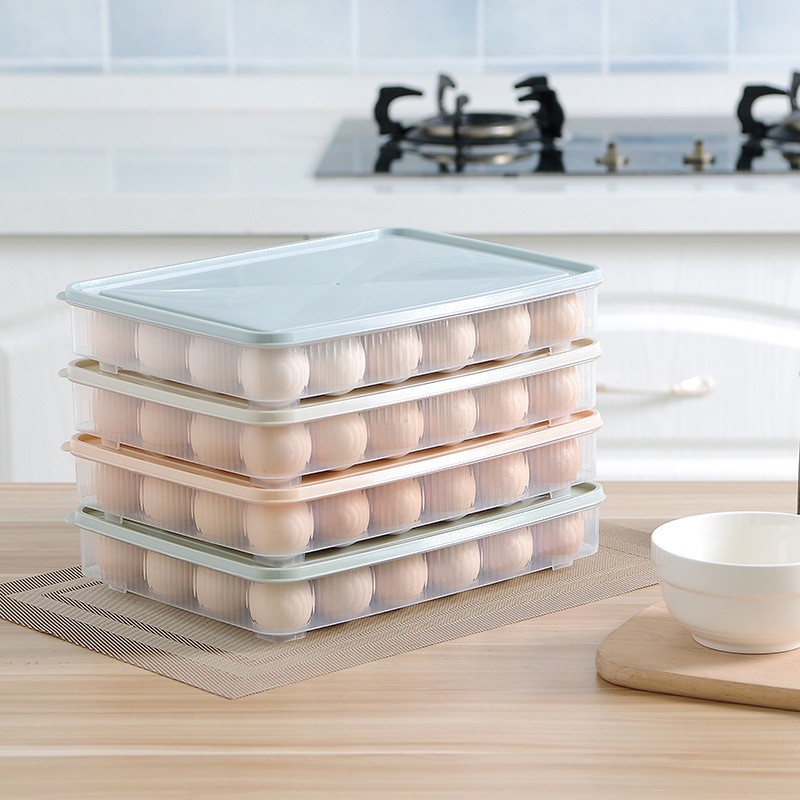 Egg Storage Container Manufacturer - 24 Grid
