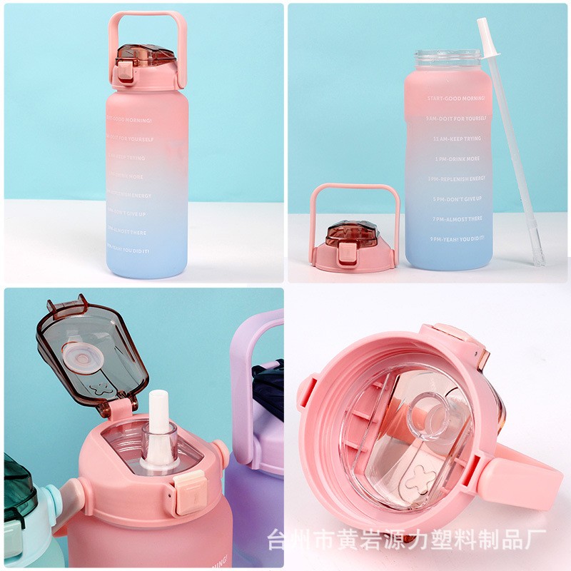 Soap Holder Manufacturer - Cartoon Cactus Shape