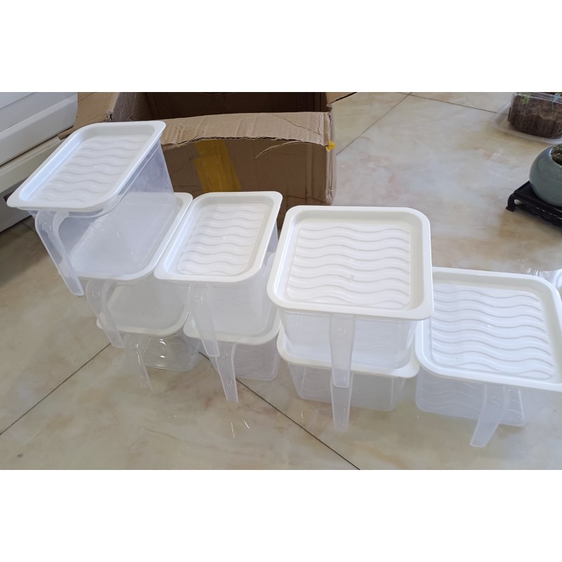 Egg Storage Container Manufacturer - New 24