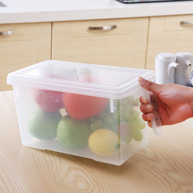 Refrigerator Egg Box Manufacturer - Automatic