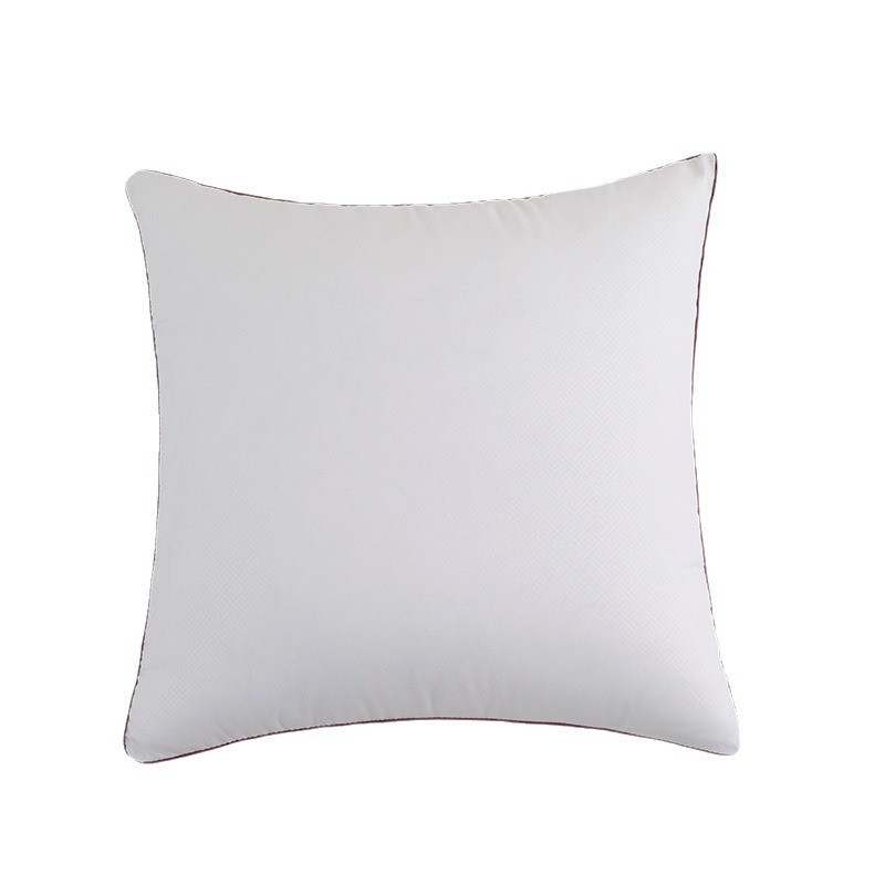 Throw Pillow Insert Factory - Feathers Down Square Decorative