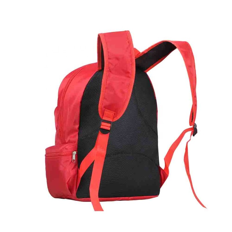 Solar Bag Manufacturer - Africa Lighting School Charger