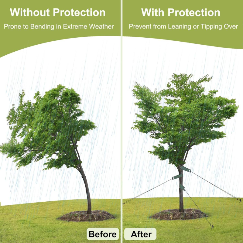 Nylon Tree Strap with Grommets Young Tree Support Hurricane Protection Newly Planted Saplings Household Miscellaneous Product