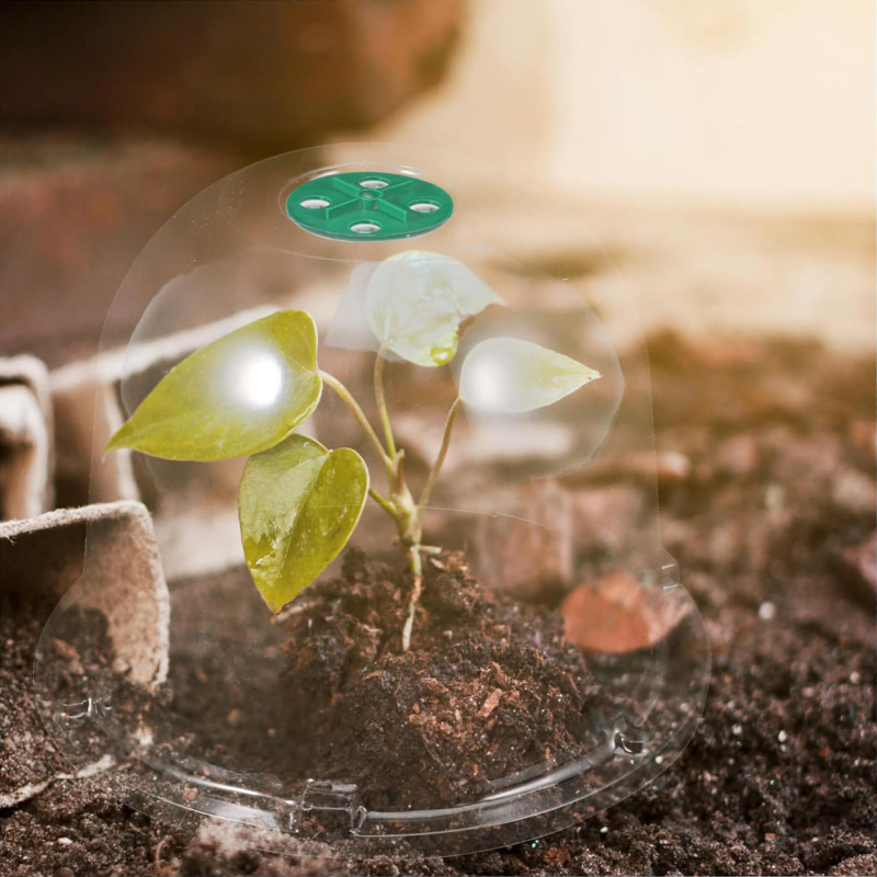 New Transparent Mini PVC Seedling Cover Agricultural Insulation Garden Seedling Plant Cover Vegetable Fruit Tray Cover