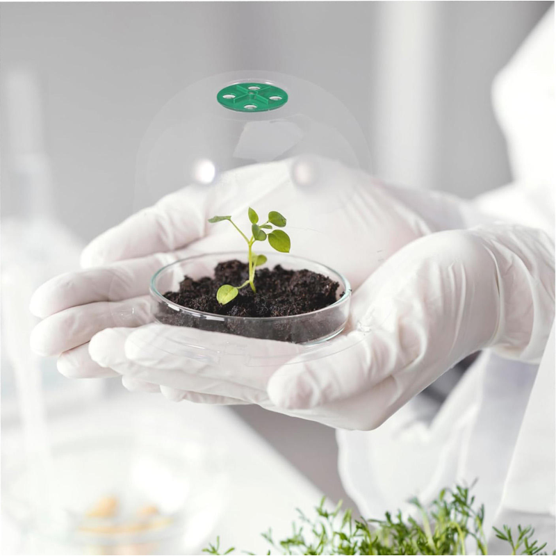 New Transparent Mini PVC Seedling Cover Agricultural Insulation Garden Seedling Plant Cover Vegetable Fruit Tray Cover