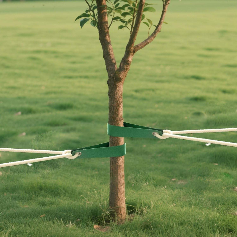 Nylon Tree Strap with Grommets Young Tree Support Hurricane Protection Newly Planted Saplings Household Miscellaneous Product