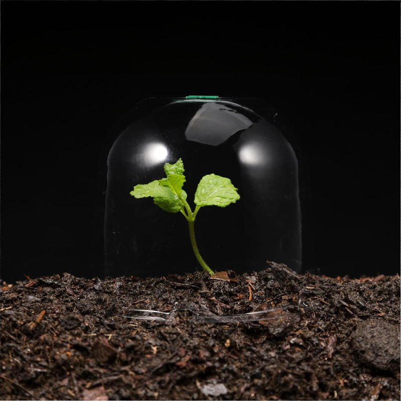 New Transparent Mini PVC Seedling Cover Agricultural Insulation Garden Seedling Plant Cover Vegetable Fruit Tray Cover