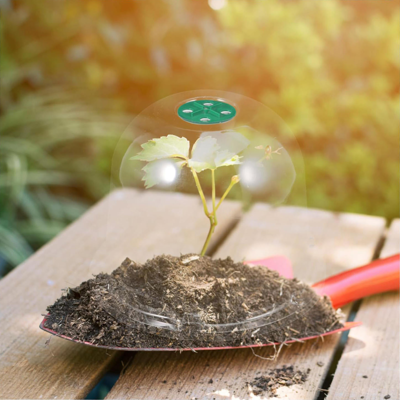 New Transparent Mini PVC Seedling Cover Agricultural Insulation Garden Seedling Plant Cover Vegetable Fruit Tray Cover