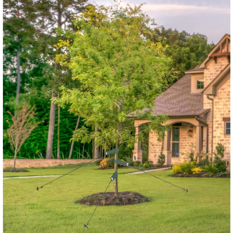 Nylon Tree Strap with Grommets Young Tree Support Hurricane Protection Newly Planted Saplings Household Miscellaneous Product