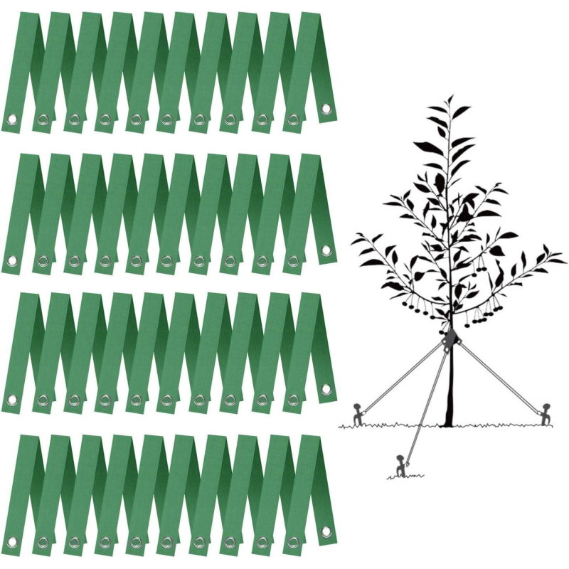 Nylon Tree Strap with Grommets Young Tree Support Hurricane Protection Newly Planted Saplings Household Miscellaneous Product