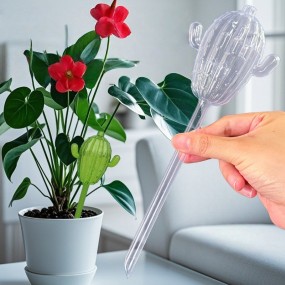 New Product Cactus Watering Pot Seepage Irrigation Houseplant Watering Pot Automatic Watering Pot Gardening Tool