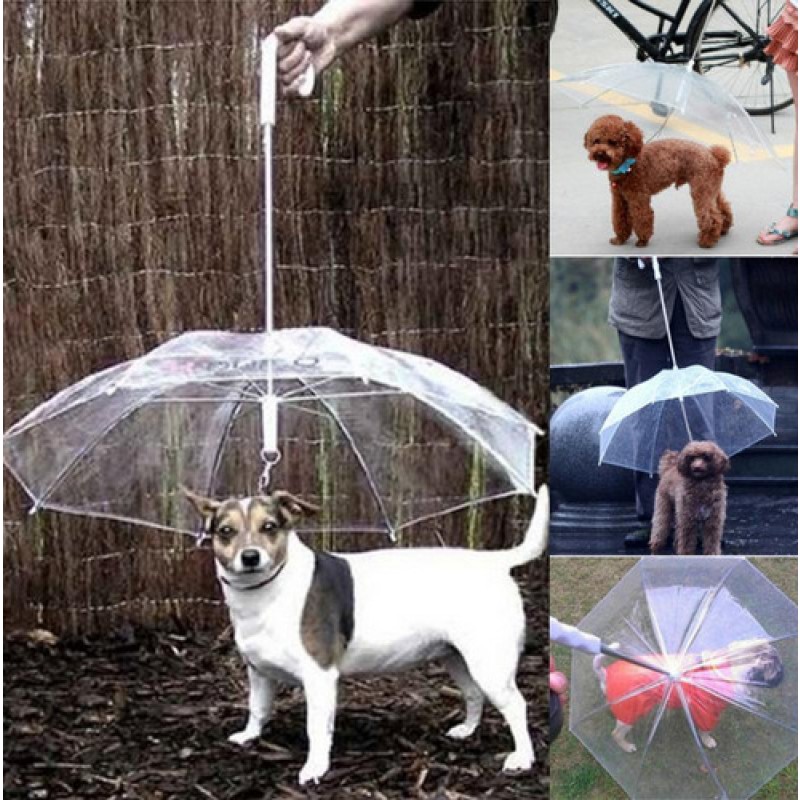 Transparent Outdoor Dog Doggy Raincoat Pet Puppy Umbrella with Chain Lead