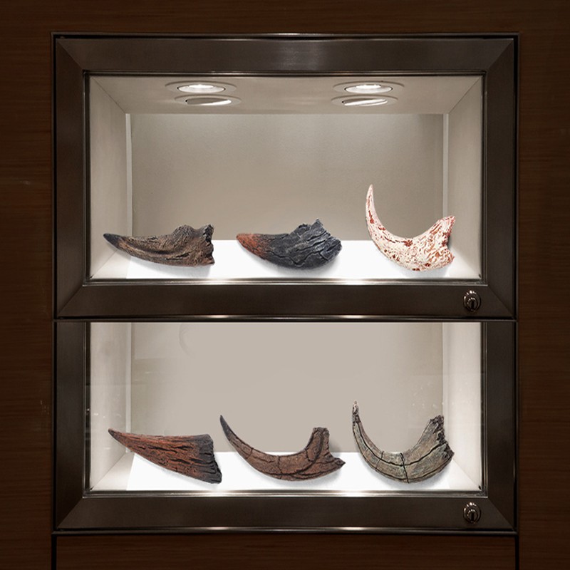 Dinosaur Claw Children'S Handmade Diy Tyrannosaurus Rex Skeleton Simulation Fossil Archaeological Excavation Toys