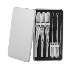 Hot Sale 2/3/6 in 1 Ear Pick Set Stainless Steel Ear Wax Remover Tool Nail Learning Tool with Beauty Salon