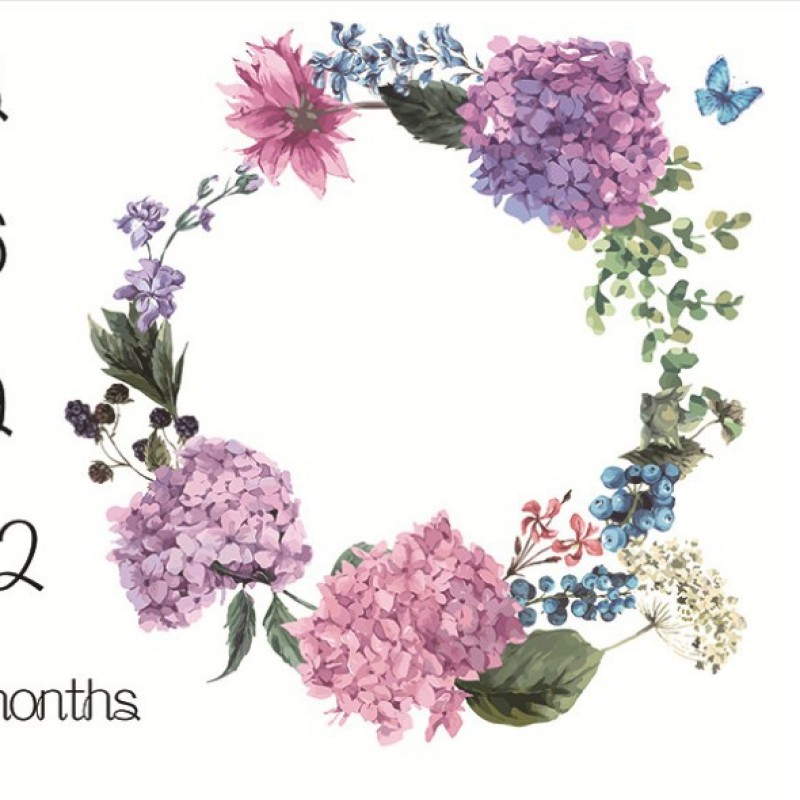 Ultra-Soft Anti-Pilling Wool Muslin Tree Custom Newborn Monthly Photography Baby Milestone Swaddle Blanket