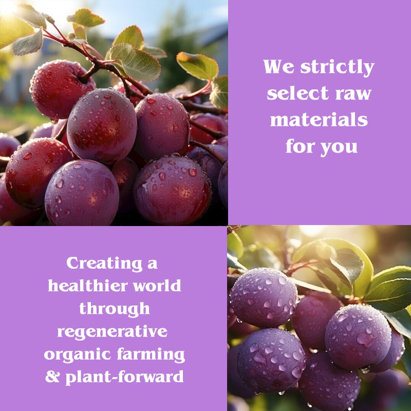 Prune Collagen Jelly Skin Care Whitening Anti-aging Jelly Pudding Collagen Weight Loss Slimming Jelly