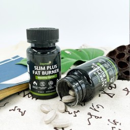 Wholesale Factory Weight-loss Products Diet Slim-ming Drug Pills Slim Plus Fat Burner Appetite Suppressant Diet Pill