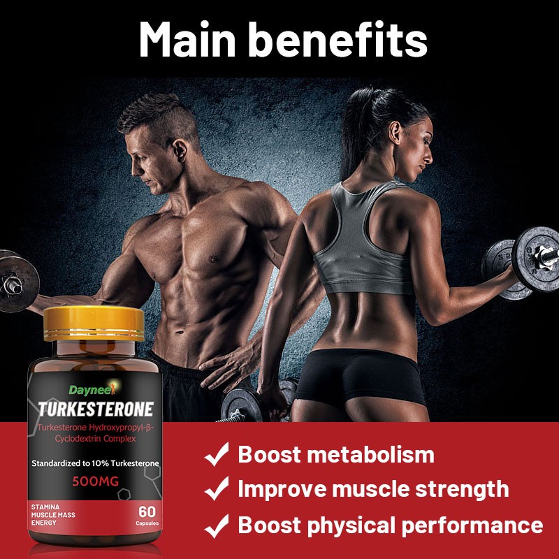 Factory Wholesale Healthcare Ajuga Turkestanica Extract Powder Capsule Muscle Mass Energy Natural Herb Supplement